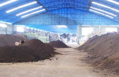 羊糞發酵過程分為哪幾個階段？