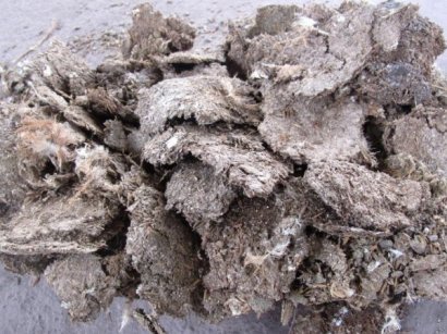 雞糞可以自然發(fā)酵為何還要使用發(fā)酵劑呢？