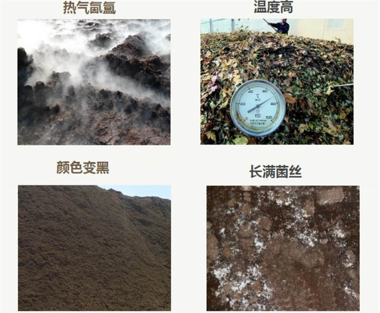 牛糞有機肥腐熟的原因及方法
