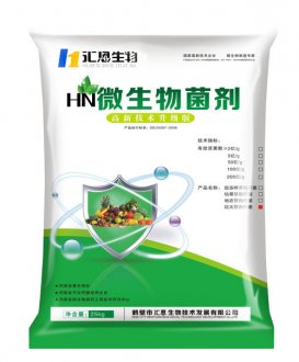 巨大芽孢桿菌