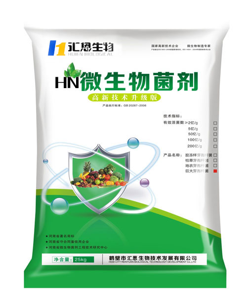 巨大芽孢桿菌