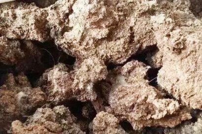 豬糞如何發(fā)酵腐熟？