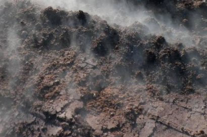 發(fā)酵豬糞做飼料的詳細(xì)方法