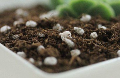 去年買的生物有機肥“長毛”是過期變質(zhì)了嗎？