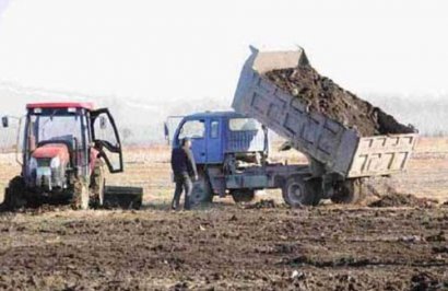 使用牛糞發(fā)酵劑發(fā)酵牛糞的方法步驟