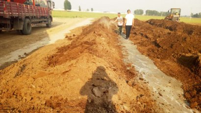 未經發酵處理的牛糞有哪些壞處