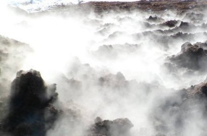 如何發(fā)酵豬糞做有機(jī)肥