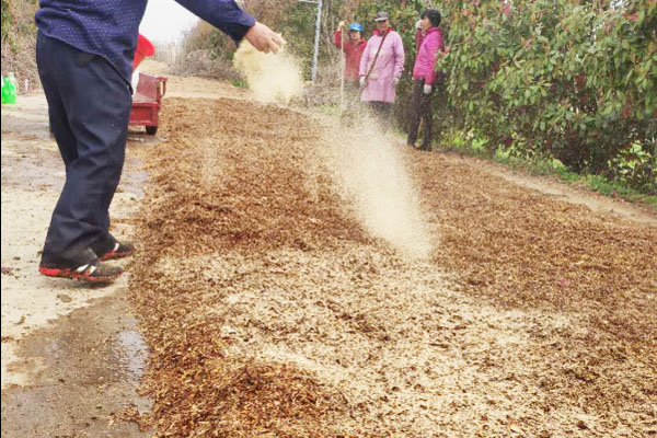雞糞發酵劑使用方法