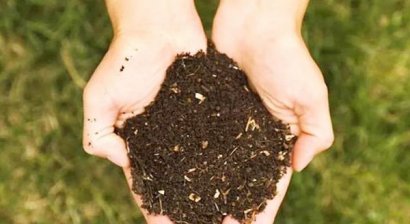 干雞糞如何制作成有機(jī)肥有哪些用途