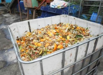 如何發(fā)酵餐廚廢棄物用作飼料喂豬