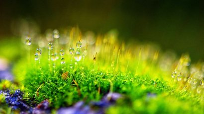 雞糞怎樣發(fā)酵制成有機(jī)肥