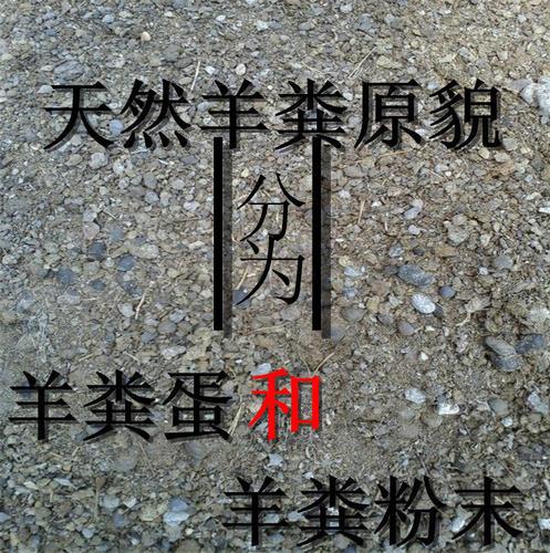 羊糞有機肥工藝流程