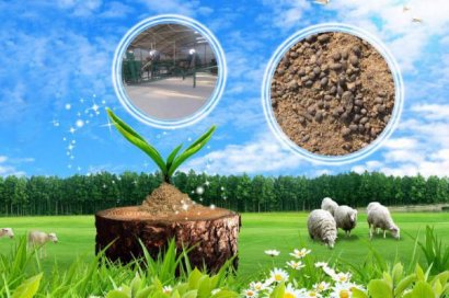 農(nóng)戶使用羊糞有機肥的真實反饋