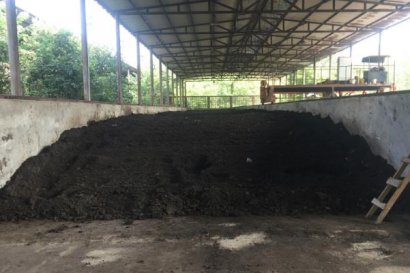 羊糞有機肥多少錢一噸？