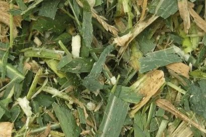 秸稈飼料喂養(yǎng)動物有哪些好處？