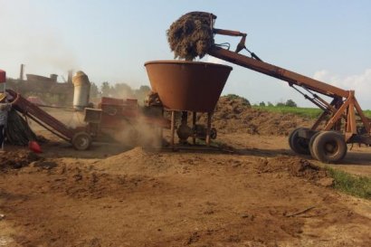 怎么制作優質秸稈飼料？