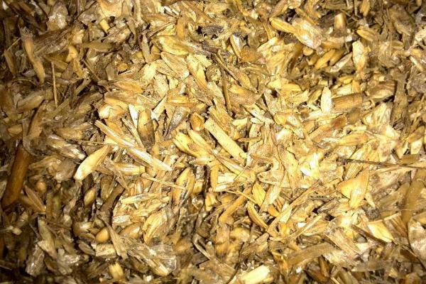 玉米秸稈微貯飼料怎么加工