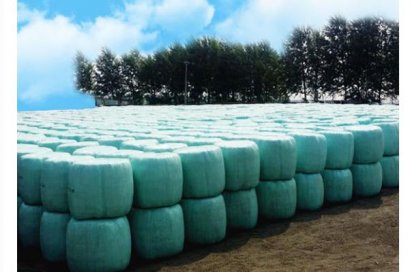 玉米秸稈膨化飼料怎么加工？