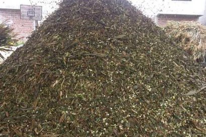 玉米秸稈發(fā)酵做飼料的方法