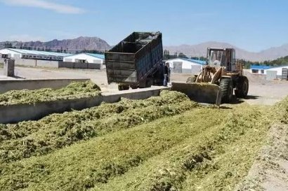 玉米秸稈發酵需要注意什么？