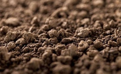 如何使用菌肥才正確，需要注意哪些？